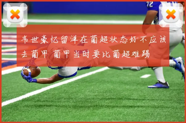 韦世豪忆留洋在葡超状态好不应该去葡甲 葡甲当时要比葡超难踢