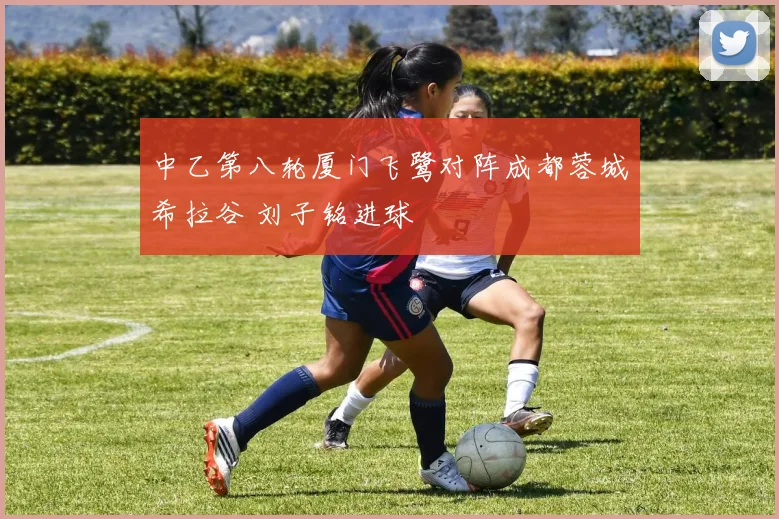中乙第八轮厦门飞鹭对阵成都蓉城希拉谷 刘子铭进球