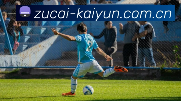 开云体育平台生态图