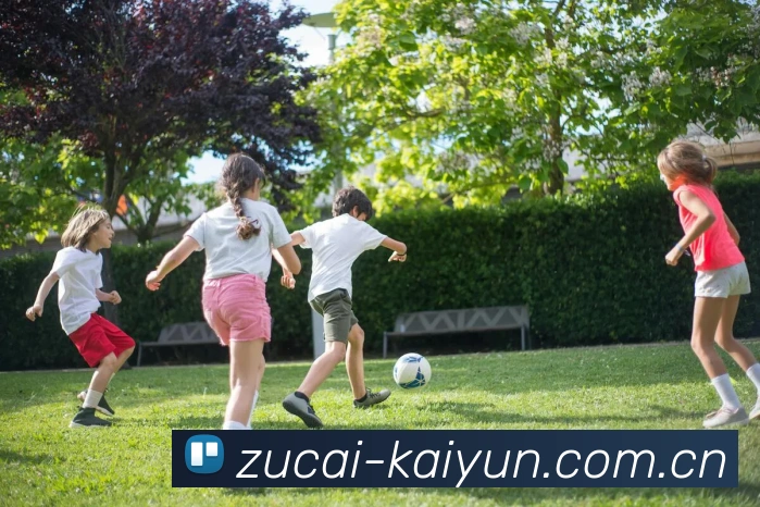 开云体育全站App